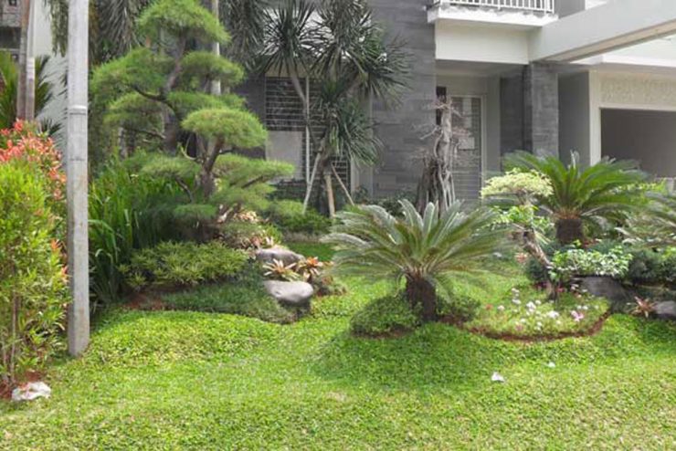 Jasa Pembuatan Taman di Serang Banten