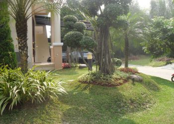 Pembuatan Taman, Gazebo dan Kolam Kecil di Perumahan BSD, Serpong Tangerang